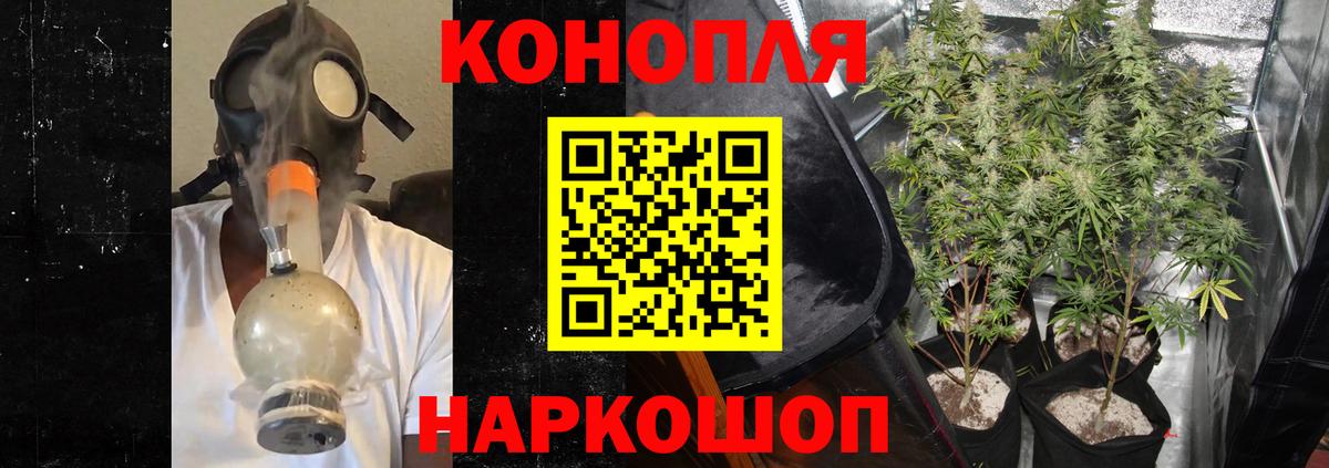 Бошки марихуана LSD WEED  Канабис план  Вход с VPN  МАРИХУАНА Amnesia  Шишки марихуана гибрид  Курчалой 