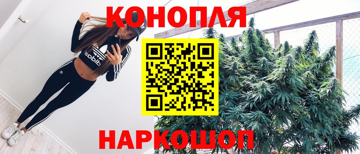 Конопля LSD WEED Курчалой